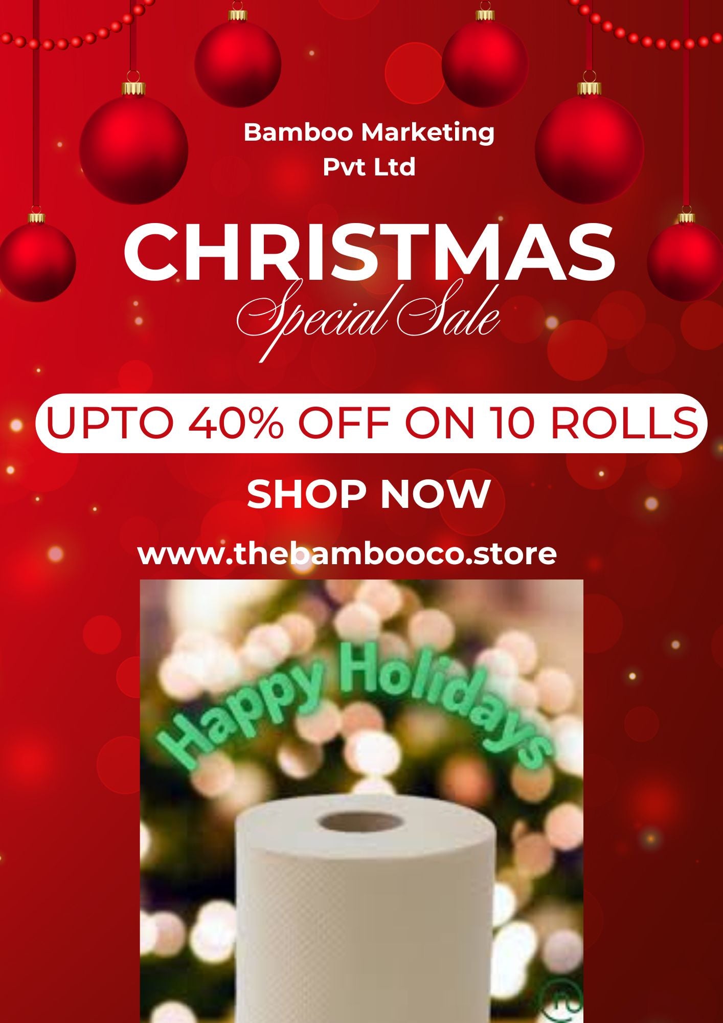 10 Rolls │Christmas Sale ! Bamboo 2-Ply Toilet Paper